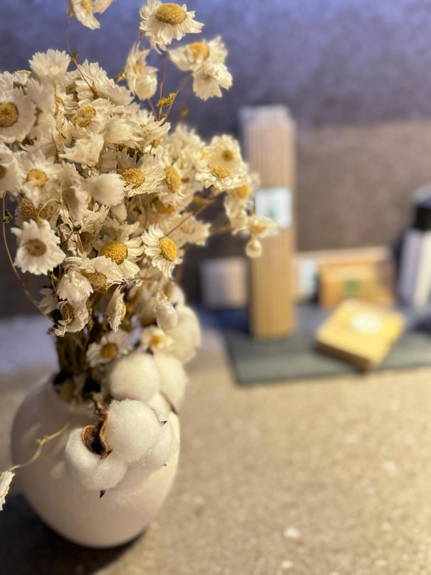 Acouga Hotel Boutique ثيلانوفا المظهر الخارجي الصورة